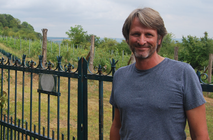 Le vignoble normand structure sa renaissance