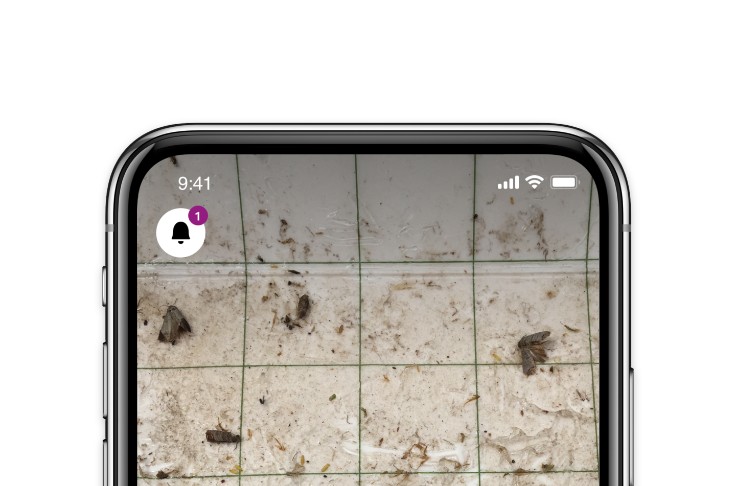 Une application gratuite pour compter eudémis dans les pièges à phéromones