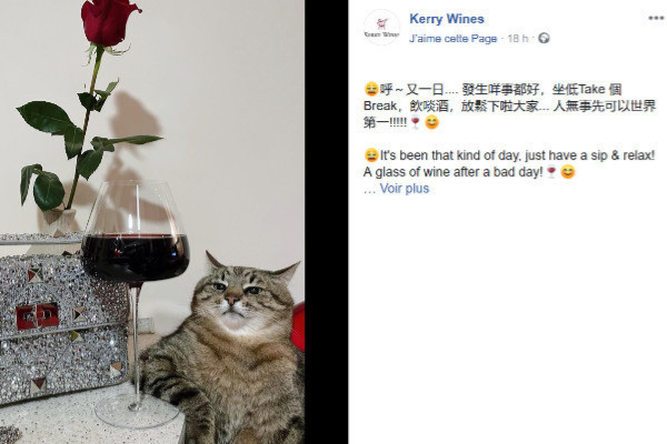 La Chine sanctionne les communications sur les bienfaits du vin pour la santé