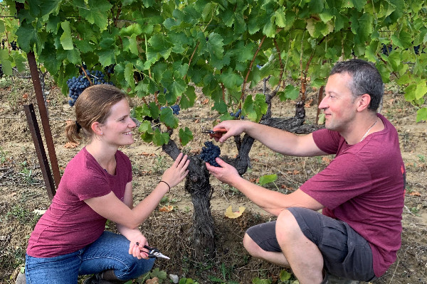 Laure et Fabrice Renaud installent leur chai urbain à Reims