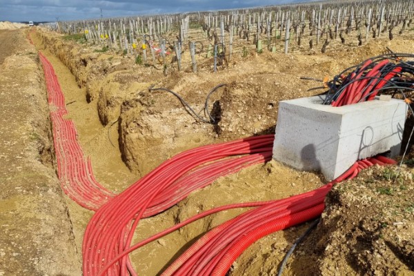 Débat 'électrique' sur l'enterrement de câbles chauffants dans les vignes de Chablis