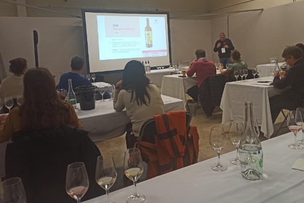 Les vins de cépages résistants ? 'Je m’attendais à des goûts à la Frankenstein' !