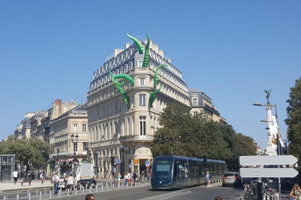 Opération antiphyto contre le bar à vin de Bordeaux