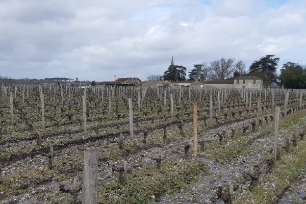 Statu quo sur les ZNT, dans l'attente de nouvelles chartes riverains