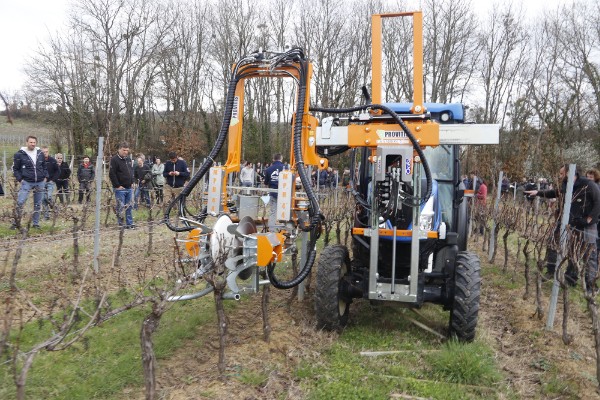La Taille Rase de Précision emballe les vignerons de Bordeaux