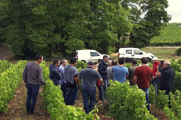  Réduction des phytos : le Dephy reste entier