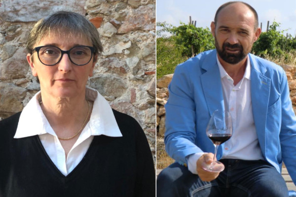 Fusion de caves coopératives en terre catalane