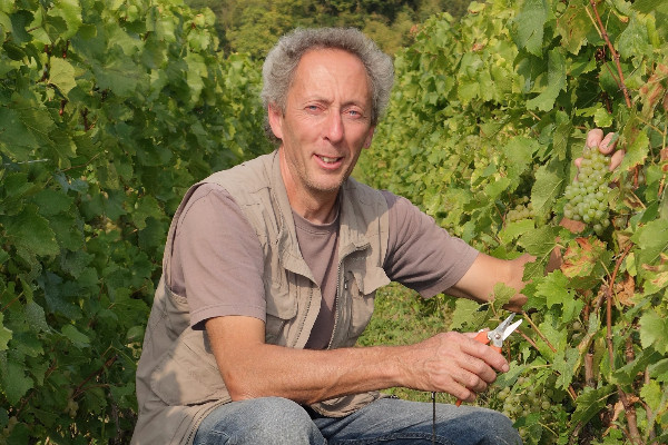 Bond des engagements bio dans le vignoble de Champagne en 2021