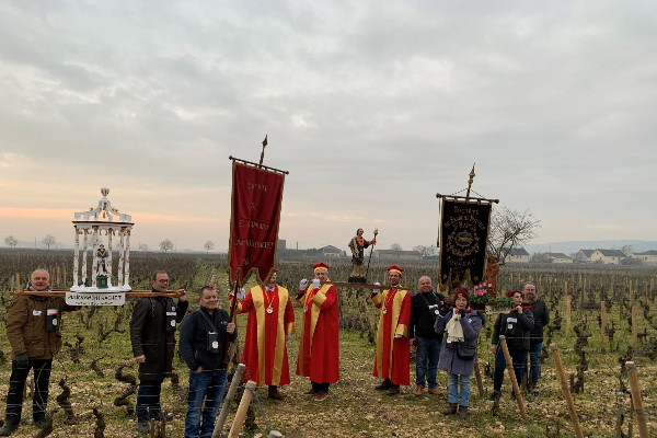 La Saint-Vincent tournante arrive pour les vins de Bourgogne !