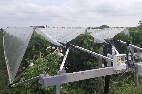 20 € par mètre de vigne protégée du mildiou et du gel pour Viti-tunnel