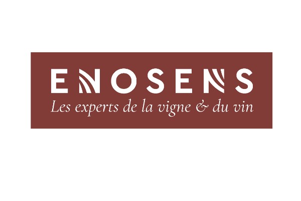 Enosens prend le leadership du conseil viti-vinicole à Bordeaux
