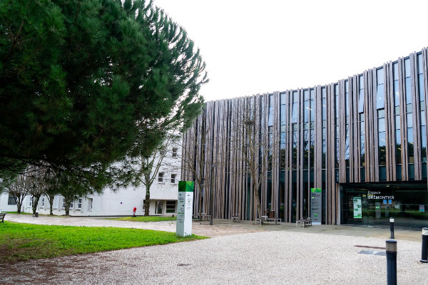 Un nouveau Bachelor spécialisé cognac lancé par Bordeaux Sciences Agro