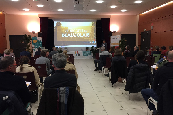 Embellie des résultats économiques pour les vins du Beaujolais