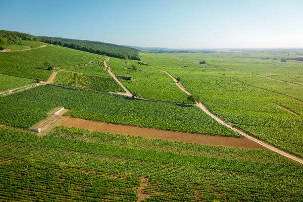 L’État se penche sur la transmission en viticulture