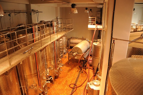 De nouvelles levures non-Saccharomyces pour améliorer la qualité des vins