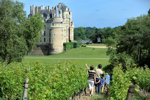 Visiteurs et dépenses en hausse pour l’œnotourisme en val de Loire