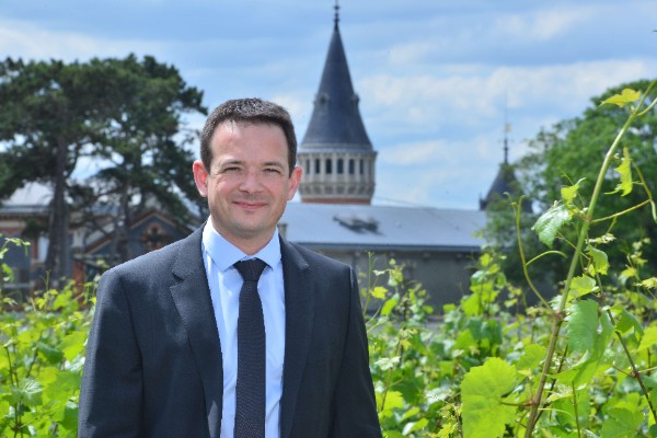 Coup de frein pour la bio des champagnes Vranken