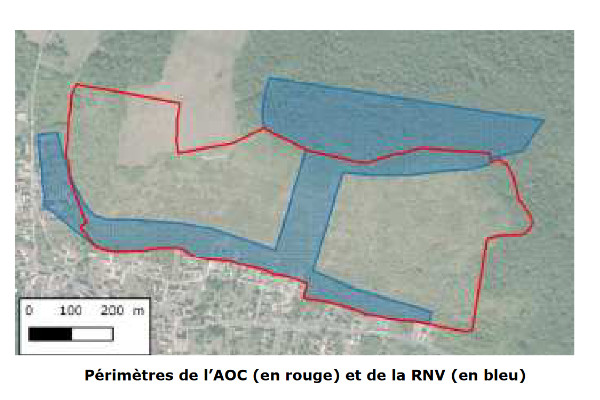 Le vignoble de Champagne pourra s'implanter sur le coteau de Chartèves