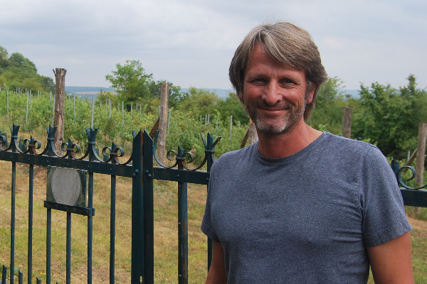 Le vignoble normand structure sa renaissance