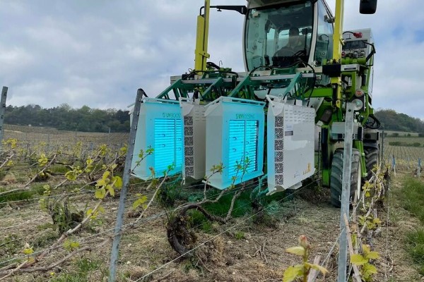 UV Boosting en alternative aux phytos chez des dizaines de viticulteurs 