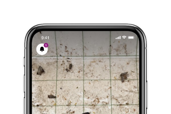 Une application gratuite pour compter eudémis dans les pièges à phéromones