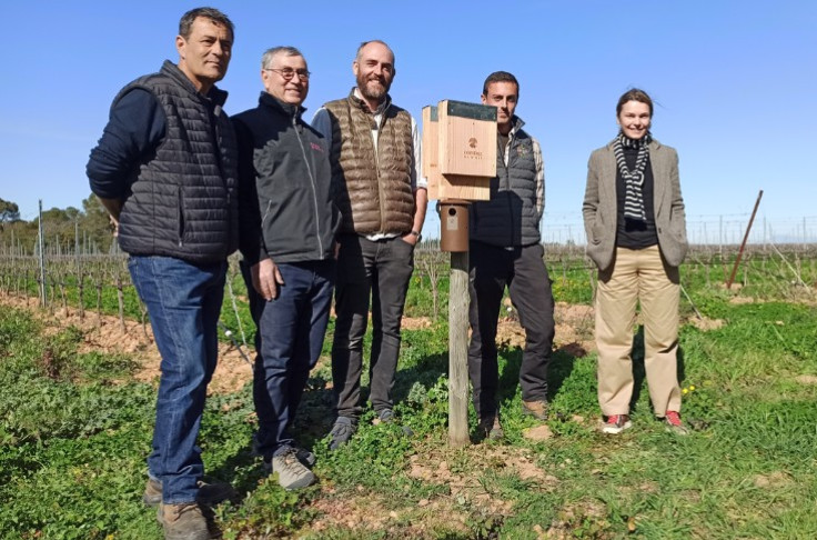 Costières de Nîmes growers swap insecticides for insect-eaters