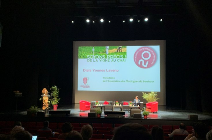 Les œnologues de Bordeaux ont soif de précision, y compris au vignoble
