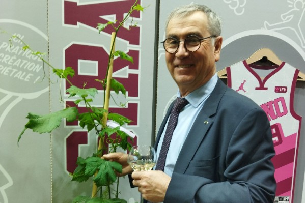 'L’innovation est au cœur de l’agroécologie dans les vignes'