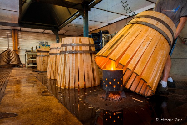 Les tonnelleries ouvrent leurs portes à leurs futurs talents