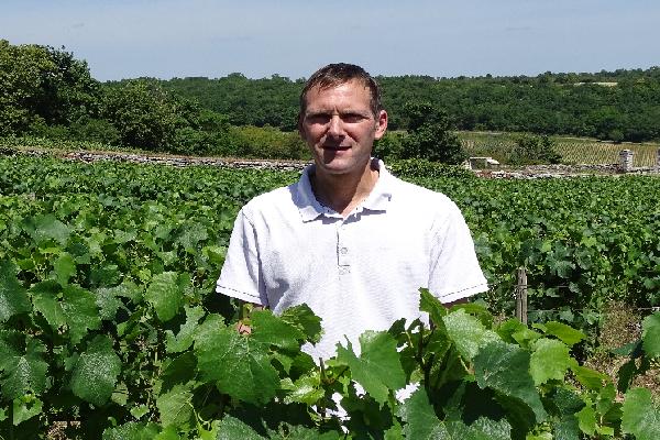 Ces vignerons témoignent du coût de la transition écologique