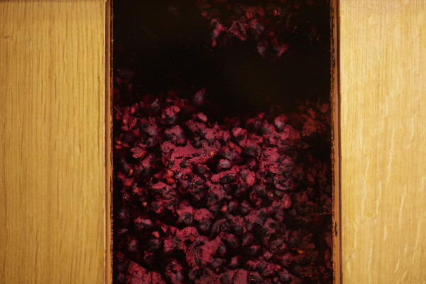 Un premier grand cru classé sur la décarbonation… et surtout la communication ?