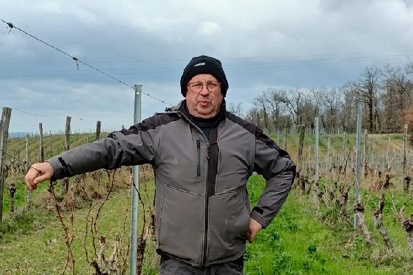 Ces vignerons ont changé leurs pratiques pour améliorer la qualité biologique de leurs sols
