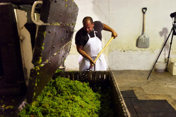 Ce vigneron cherche de l’aide pour réparer son pressoir bicentenaire