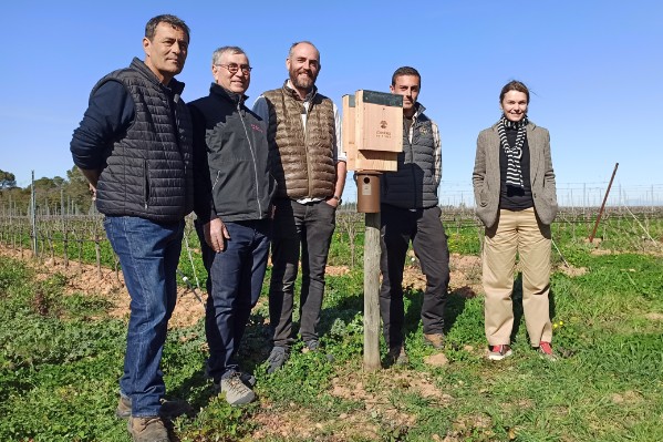 Des insectivores plutôt que des insecticides dans les Costières de Nîmes