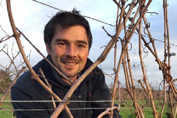 ZNT arthropodes et plantes non ciblées, les connaissez-vous ?