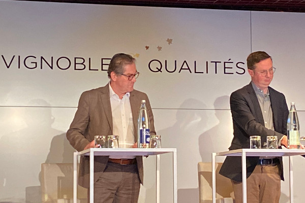 Appel au rajeunissement du vignoble de Champagne