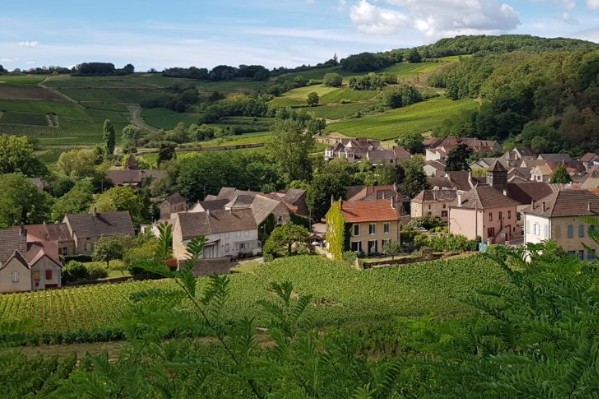 Une distance de sécurité incompressible de 10 mètres pour les phytos CMR