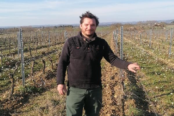  Les analyses de sarments de vigne mettent en lumière des carences cachées