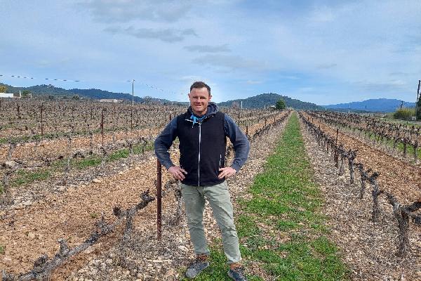  'Une demi-journée à 180 €' : des vignerons témoignent du conseil stratégique phytosanitaire