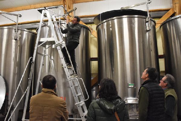 Les conseils de la MSA pour éviter les risques de chute dans les chais