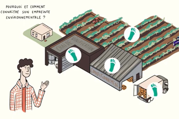 1er outil d’évaluation de l’empreinte carbone des vignobles