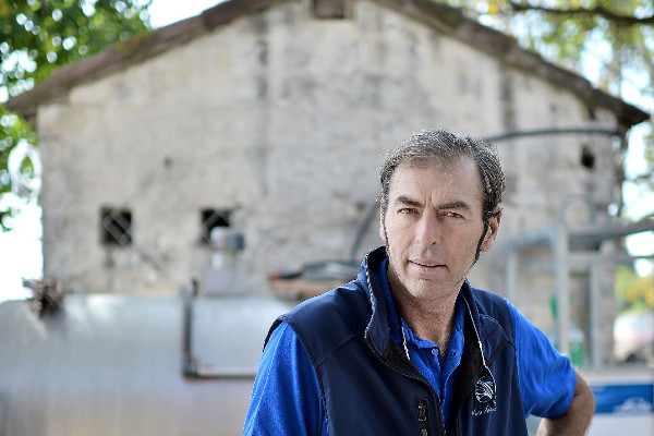 Les vins de Terre de Camargue en quête de leur IGP autonome