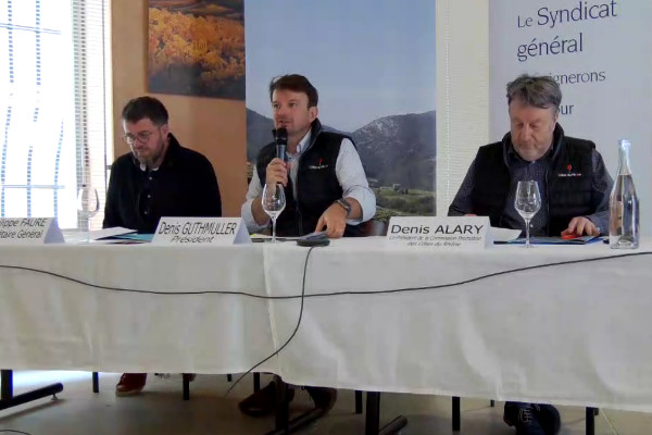 Contrôles renforcés sur les vignes de Côtes du Rhône en 2023