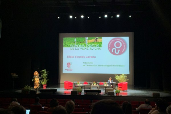 Les œnologues de Bordeaux ont soif de précision, y compris au vignoble