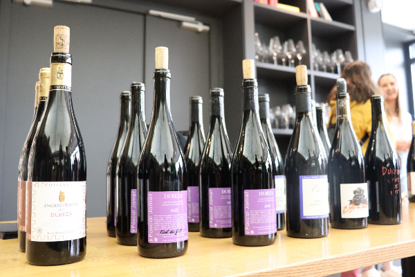 9 cépages patrimoniaux reviennent dans les collines rhodaniennes