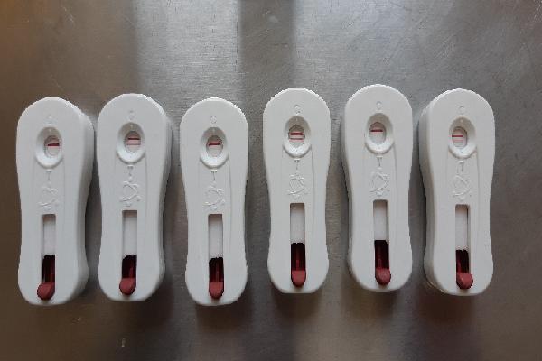 Un test ultrarapide pour détecter les Bretts lors des vinifications