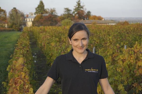 Le travail du sol dans les vignes alourdit le bilan carbone