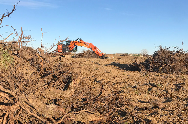 Hiver à l’arrache pour le vignoble de Bordeaux