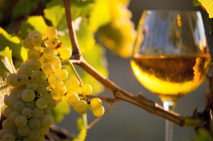 French wine comes in at 9% ABV, with no de-alcoholisation French wine comes in at 9% ABV, with no de-alcoholisation