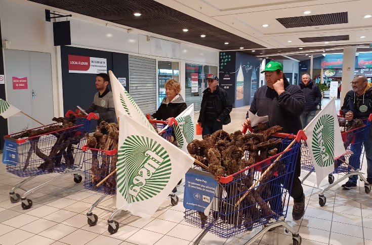 L’injuste rémunération des vins de Bordeaux unit 4 syndicats agricoles et 1 collectif